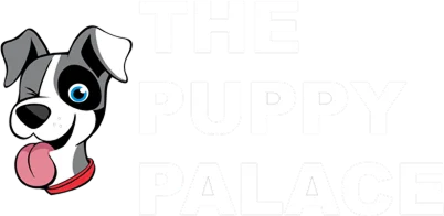 The Puppy Palace CT