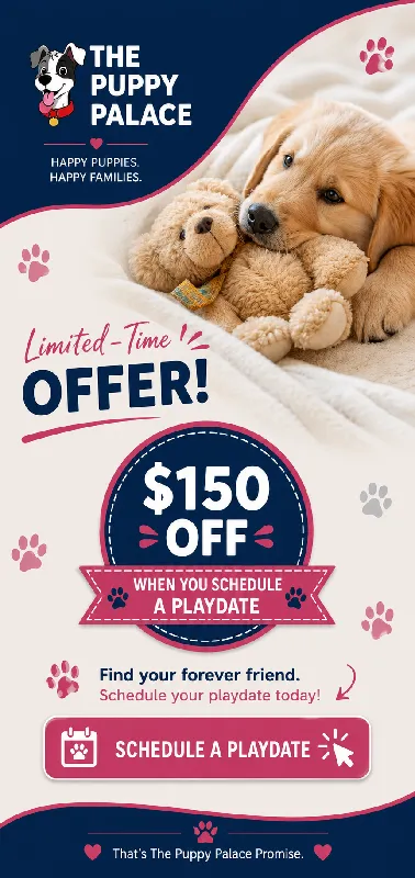 Schedule A Playdate - Save $150